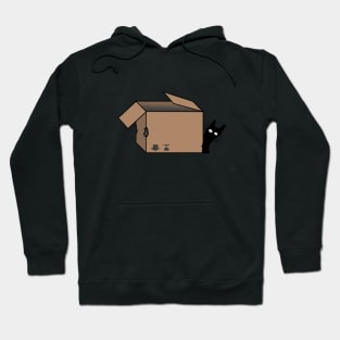 Curious cat Hoodie